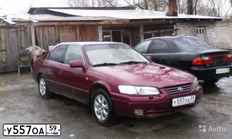 Фото автомобиля TOYOTA CAMRY, 1997 — госномер Х877ВМ154. Цвет: ВИШНЯ