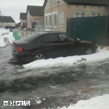 Фото автомобиля OPEL VECTRA, 2000 — госномер Н836РЕ31. Цвет: Коричневый