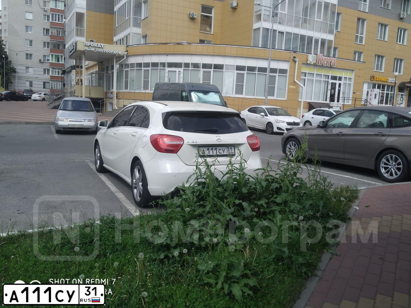 Фото автомобиля TOYOTA CAMRY, 2013 — госномер А111СУ31. Цвет: БЕЛЫЙ