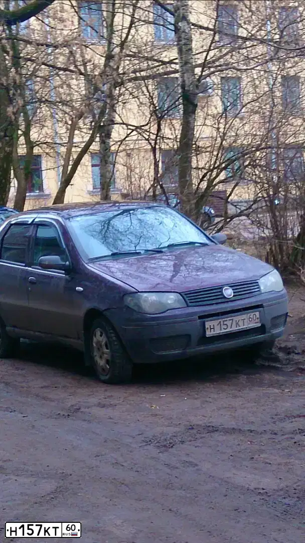 Фото автомобиля FIAT ALBEA, 2010 — госномер Е988МА60. Цвет: МОЛОДОЕ ВИНО