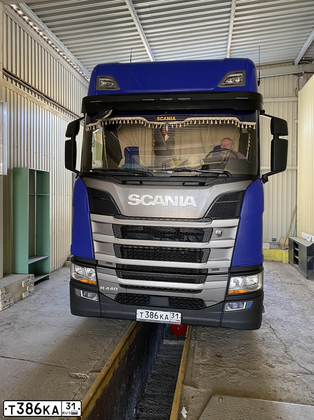 Фото автомобиля SCANIA SERIE R /4X2/, 2020 — госномер Т386КА31. Цвет: СИНИЙ