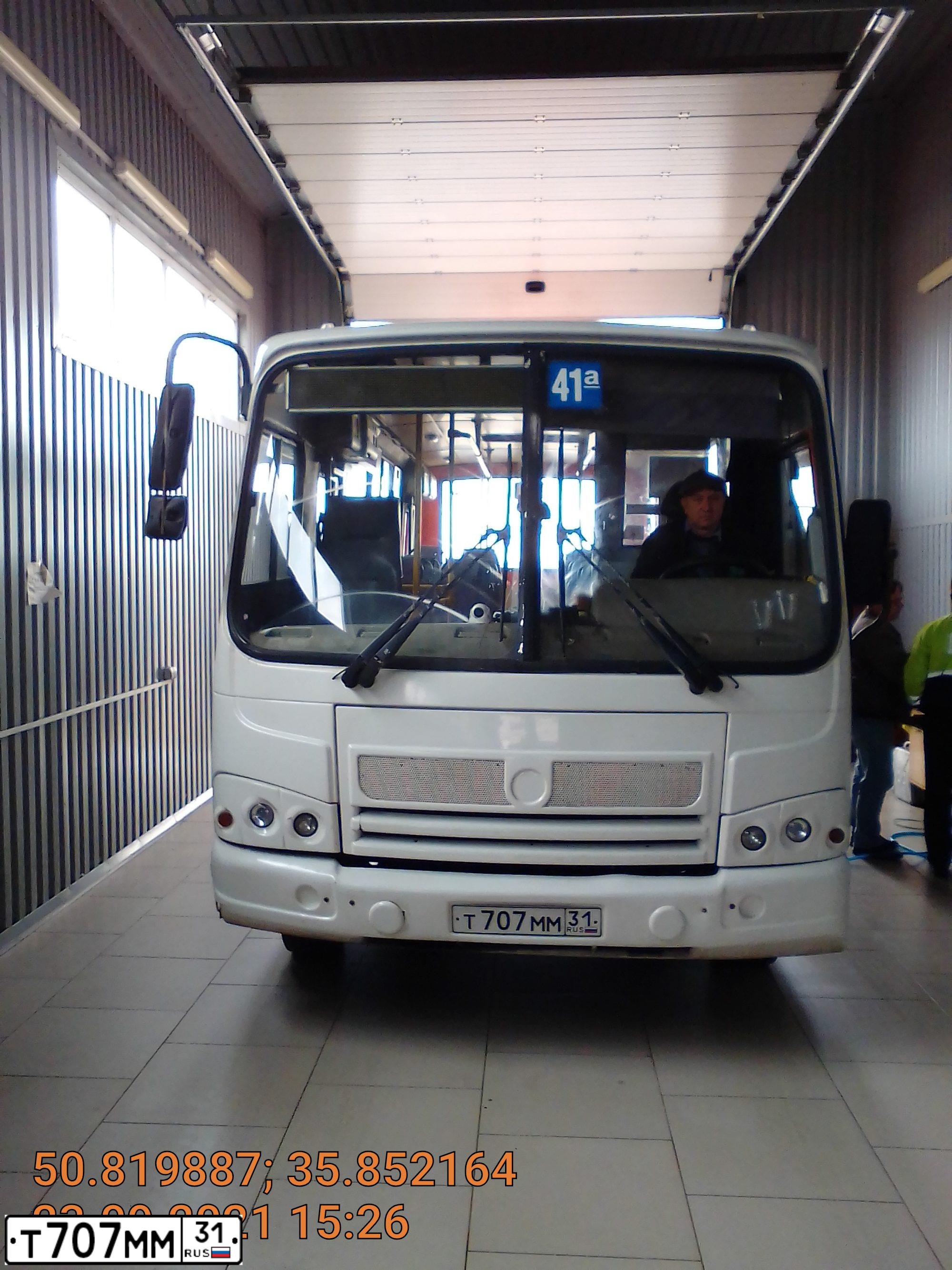Фото автомобиля PAZ 3204, 2013 — госномер Т707ММ31. Цвет: БЕЛЫЙ