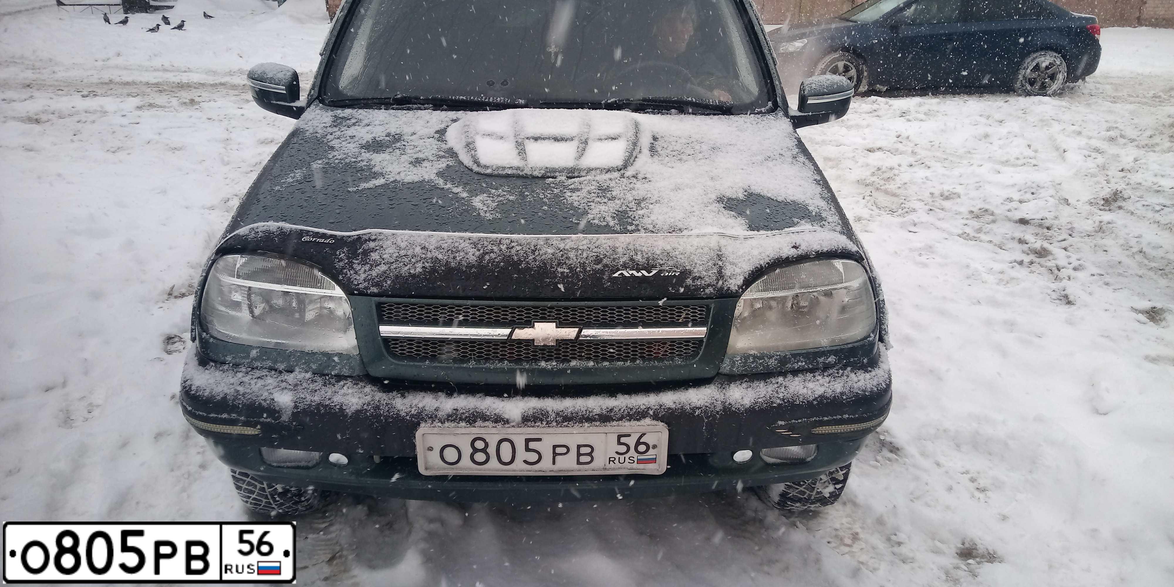 Фото автомобиля CHEVROLET NIVA, 2008 — госномер Е901НВ156. Цвет: темный серо-зеленый металлик