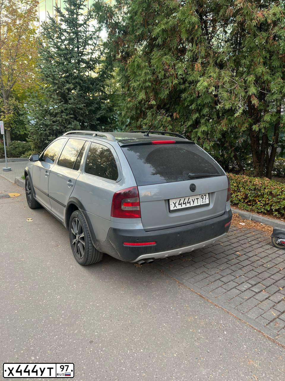 Фото автомобиля SKODA OCTAVIA, 2008 — госномер М304ТТ797. Цвет: СЕРЫЙ