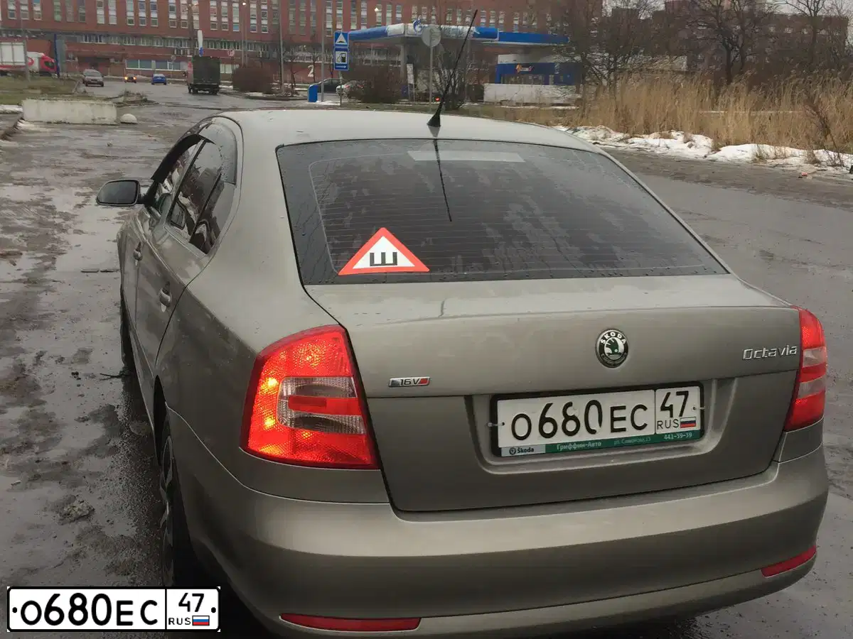 Фото автомобиля SKODA OCTAVIA, 2008 — госномер М917ХТ10. Цвет: СЕРЫЙ