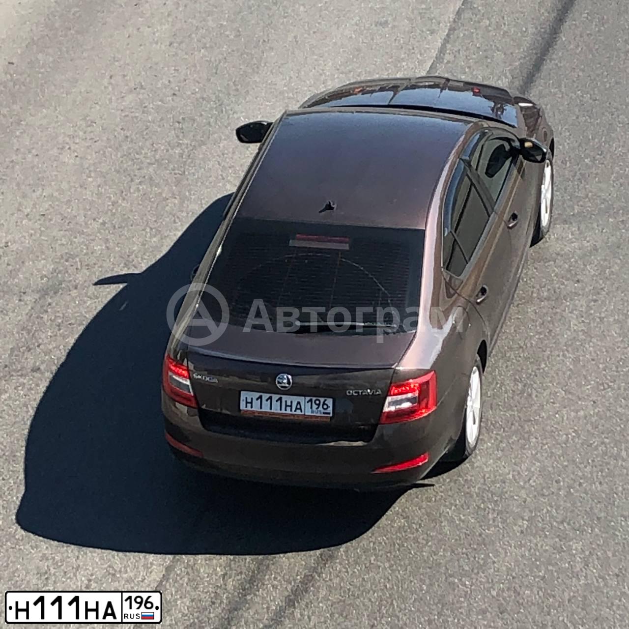 Фото автомобиля SKODA OCTAVIA, 2013 — госномер О217СК72. Цвет: Коричневый