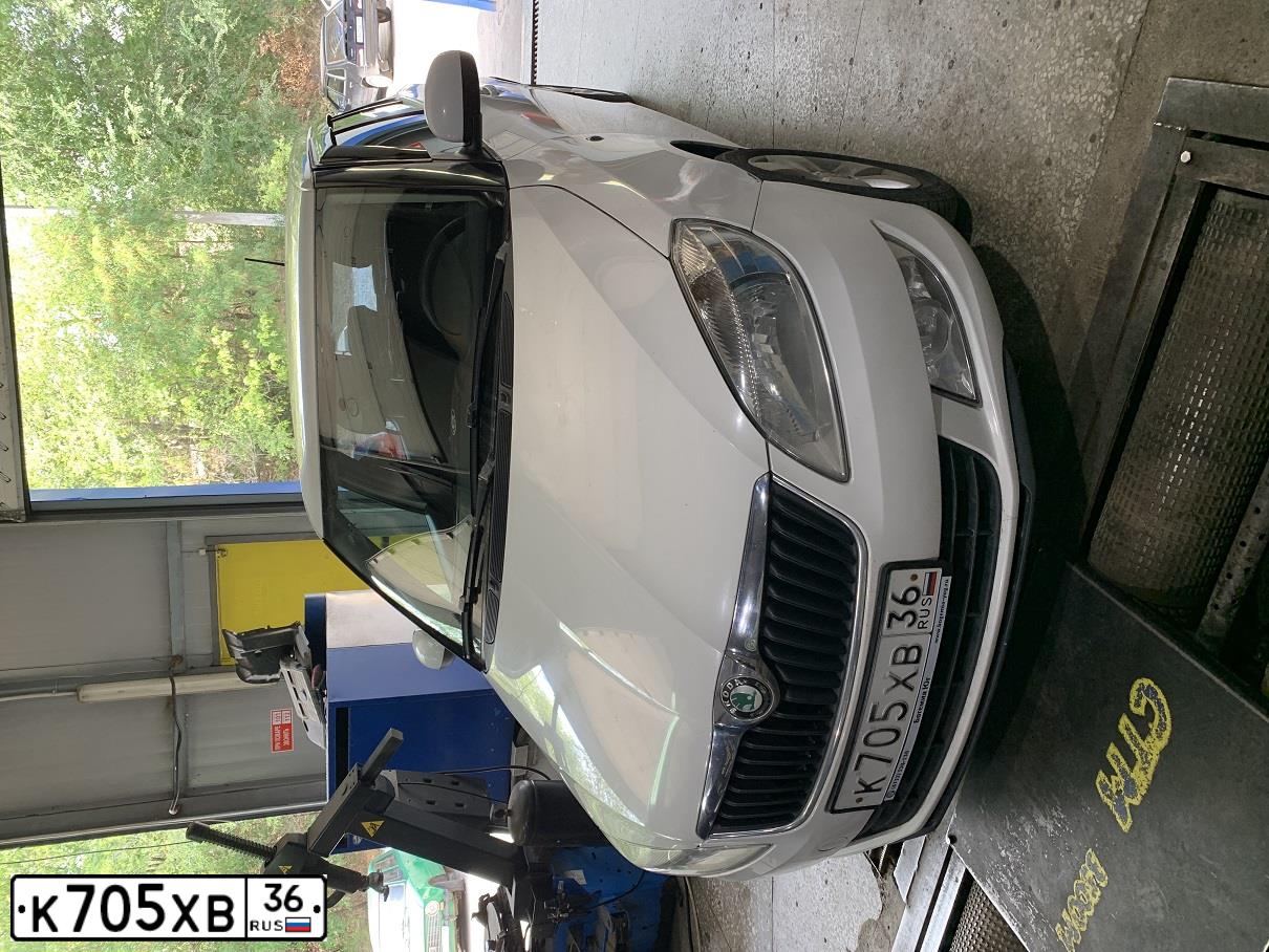 Фото автомобиля SKODA FABIA, 2010 — госномер М443СТ36. Цвет: БЕЛЫЙ