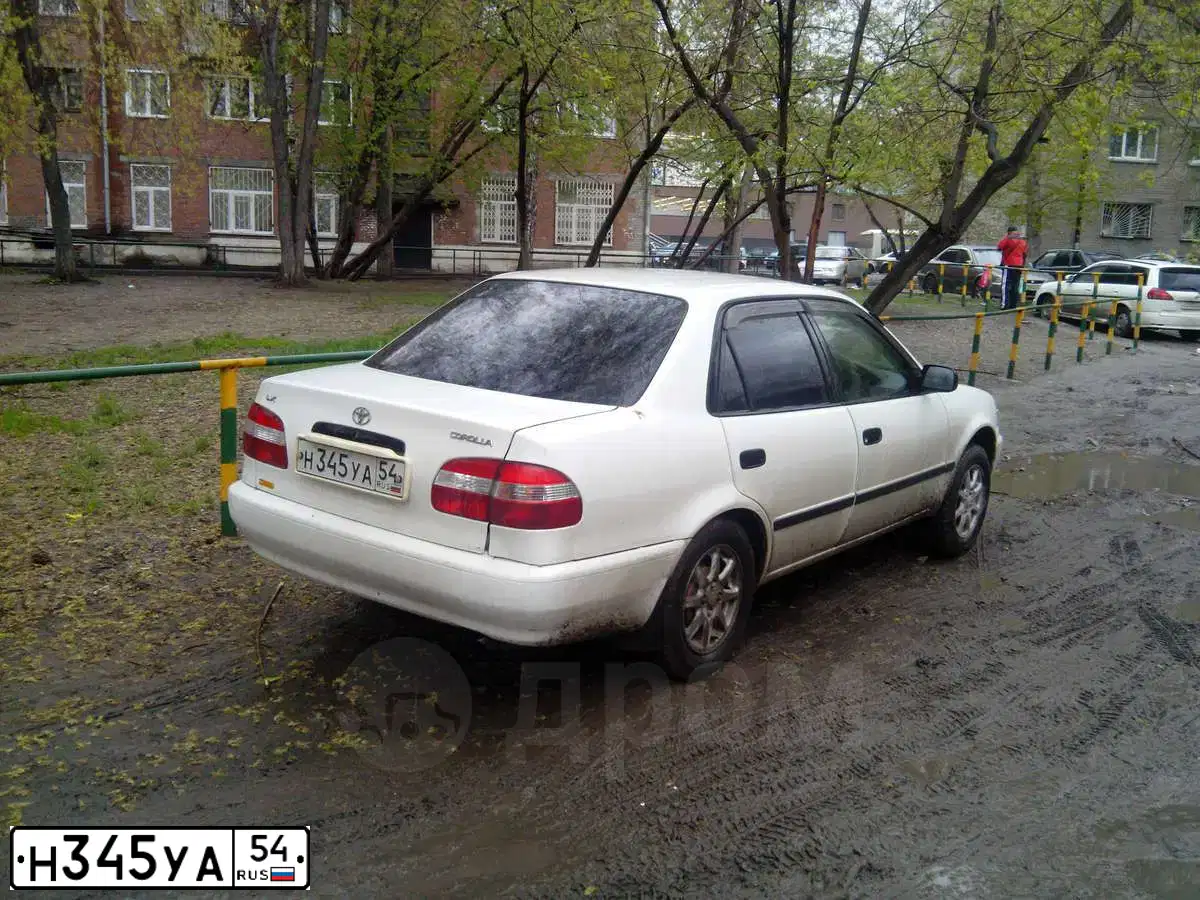 Фото автомобиля SUZUKI SX 4, 2007 — госномер Н345УА54. Цвет: ОРАНЖЕВЫЙ