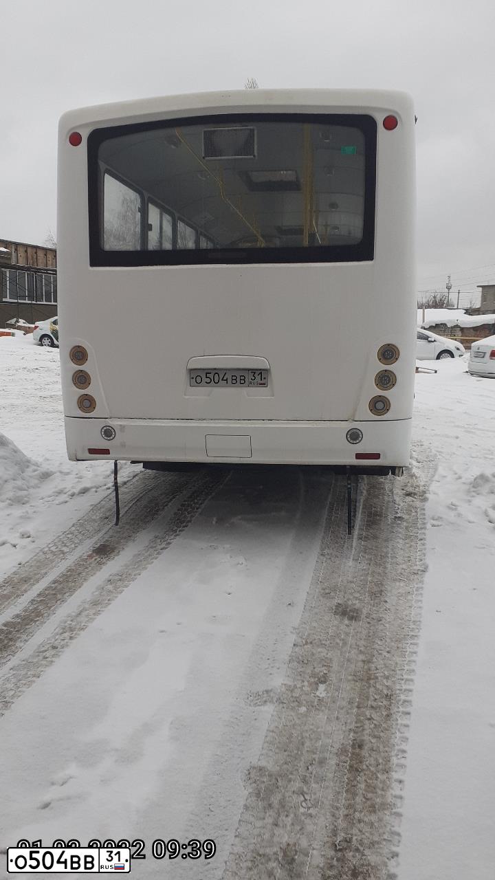 Фото автомобиля PAZ 3204, 2014 — госномер О504ВВ31. Цвет: Белый