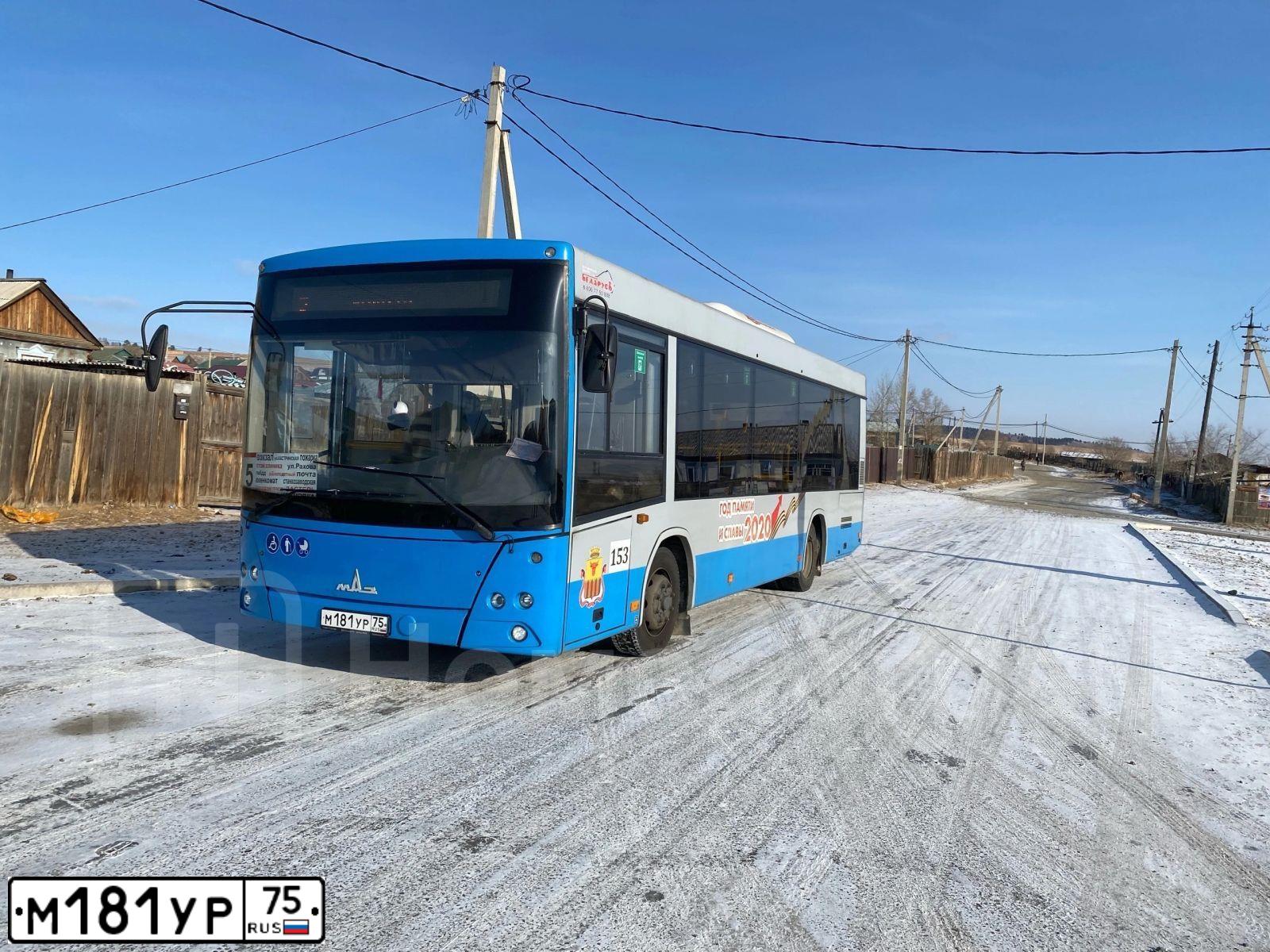 Фото автомобиля MAZ 206 - 226, 2020 — госномер М181УР75. Цвет: СЕРО-ГОЛУБОЙ