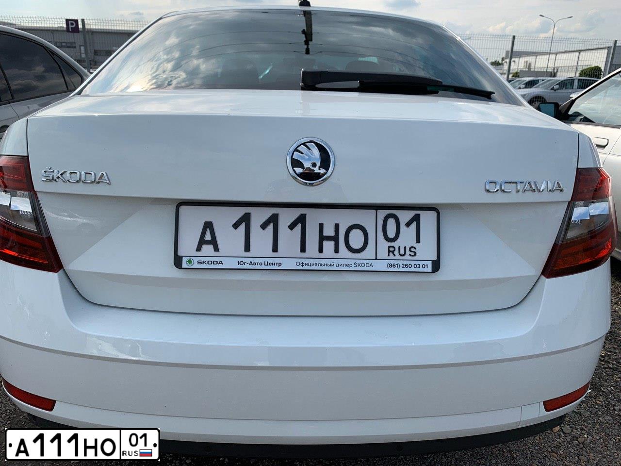 Фото автомобиля SKODA OCTAVIA, 2019 — госномер С888СВ01. Цвет: БЕЛЫЙ