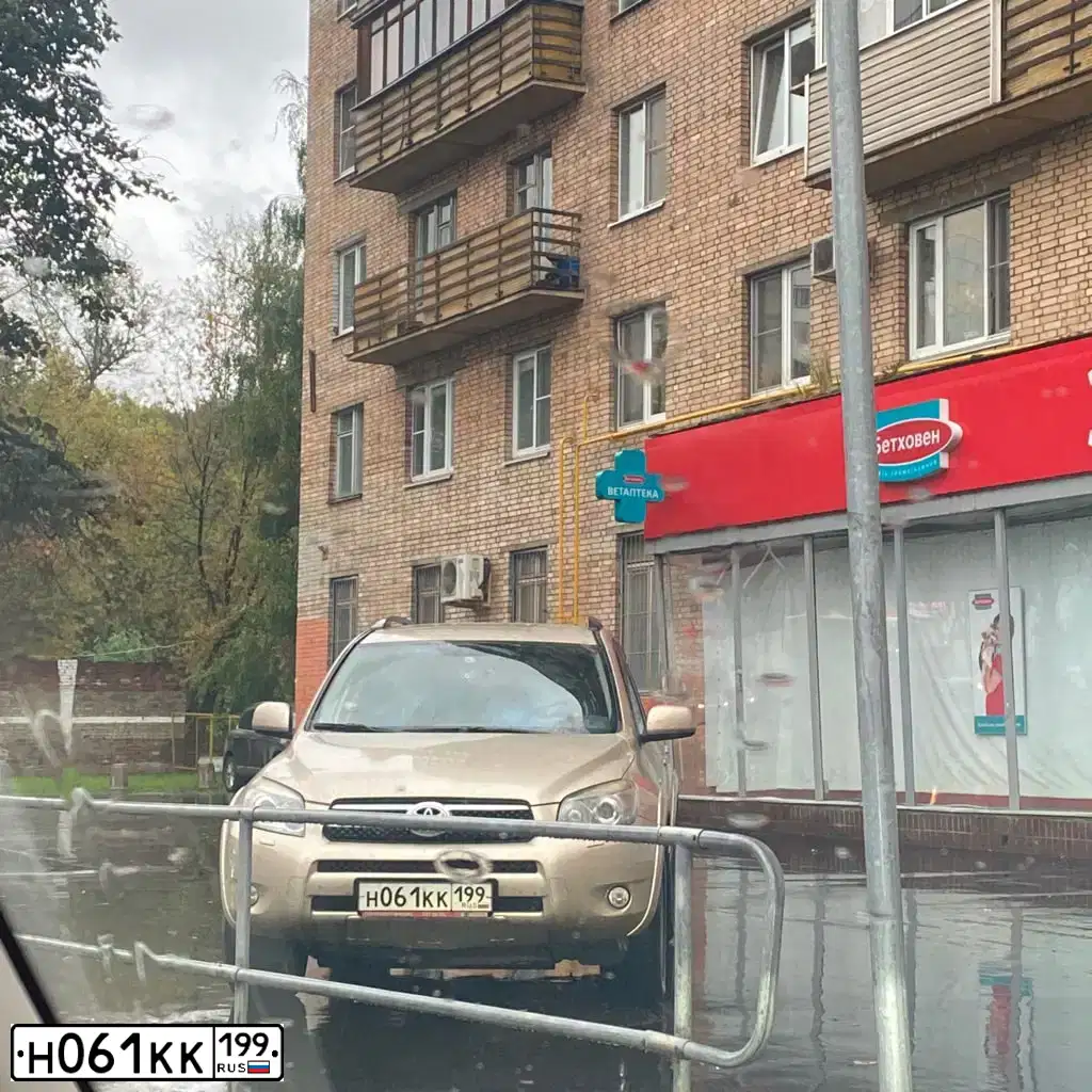 Фото автомобиля TOYOTA RAV4, 2008 — госномер Н061КК199. Цвет: БЕЖЕВЫЙ