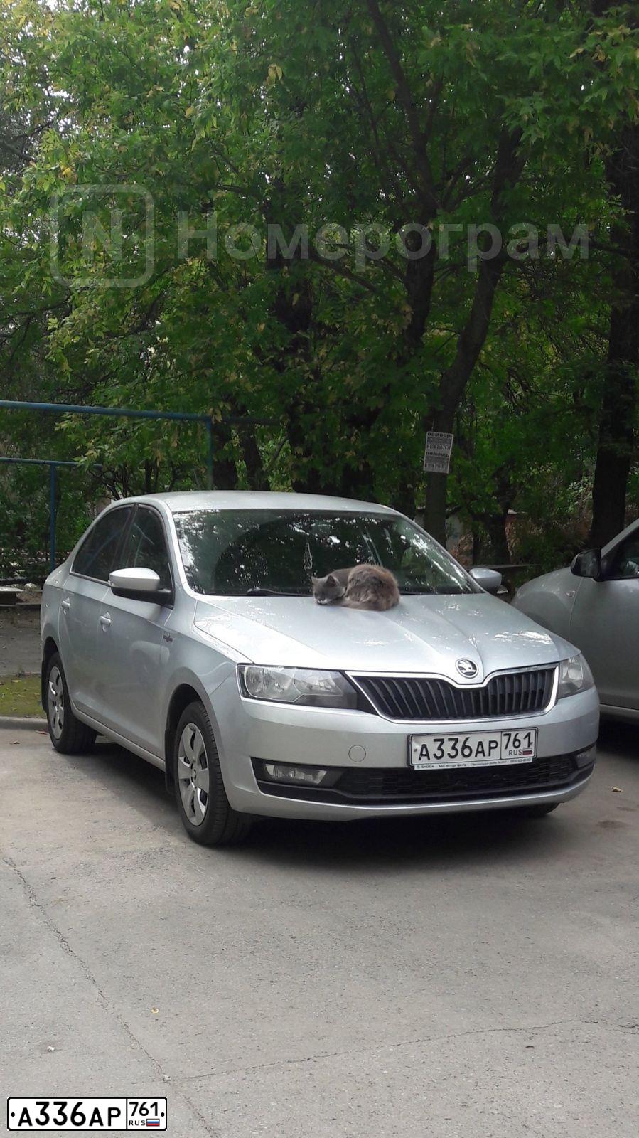 Фото автомобиля SKODA RAPID, 2019 — госномер А336АР761. Цвет: Серебристый