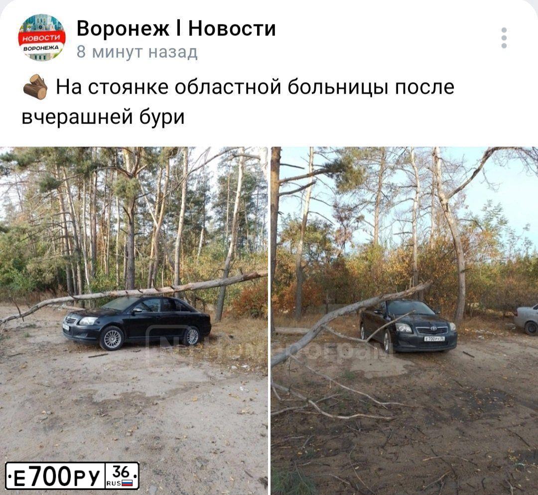 Фото автомобиля TOYOTA AVENSIS, 2008 — госномер Е700РУ36. Цвет: ЧЕРНЫЙ