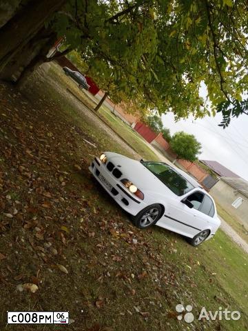 Фото автомобиля BMW SERIE 5, 1995 — госномер С008РМ06. Цвет: Белый