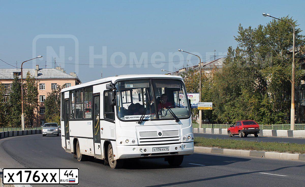 Фото автомобиля PAZ 3204, 2010 — госномер Х176ХХ44. Цвет: Белый