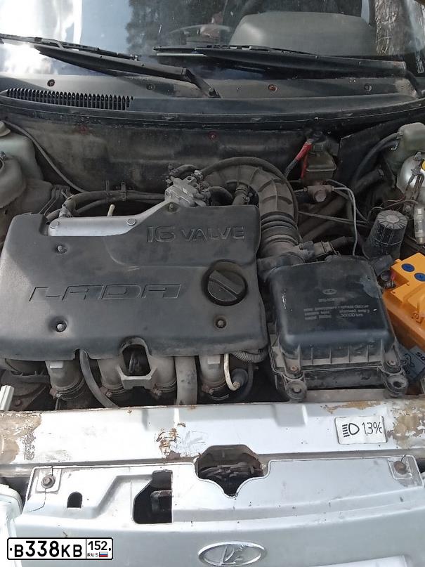 Фото автомобиля FORD FOCUS, 2010 — госномер В388КВ152. Цвет: Серый