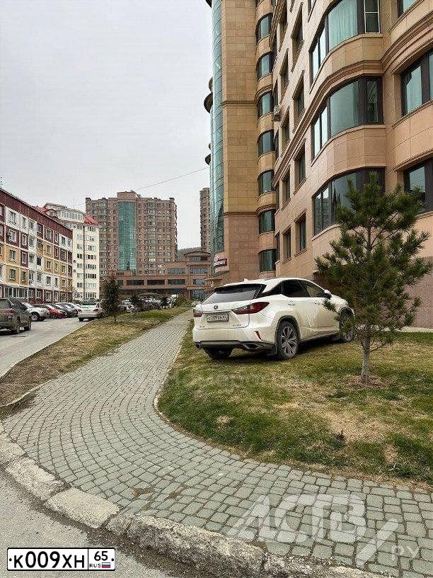 Фото автомобиля TOYOTA HIGHLANDER, 2011 — госномер М036ТТ65. Цвет: ЧЕРНЫЙ