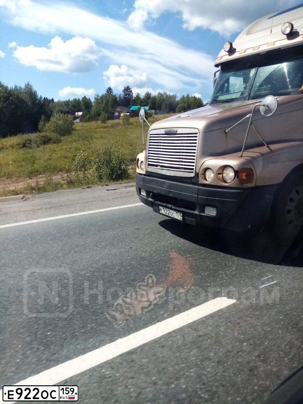 Фото автомобиля FREIGHTLINER CENTURY S/T, 1999 — госномер Е922ОС159. Цвет: СЕРЫЙ