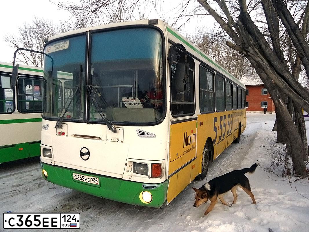 Фото автомобиля LIAZ 5256, 2006 — госномер С365ЕЕ124. Цвет: БЕЛЫЙ ЗЕЛЕНЫЙ