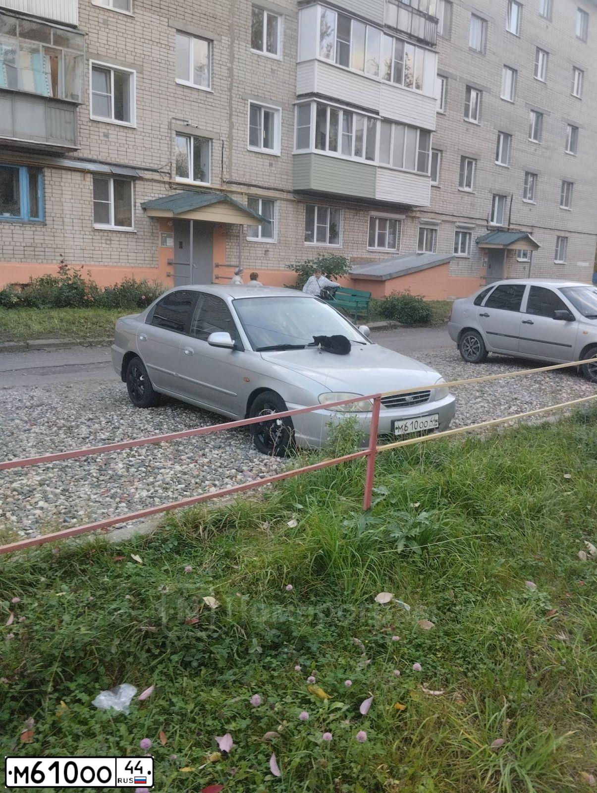 Фото автомобиля KIA SPECTRA, 2007 — госномер М610ОО44. Цвет: Серебристый