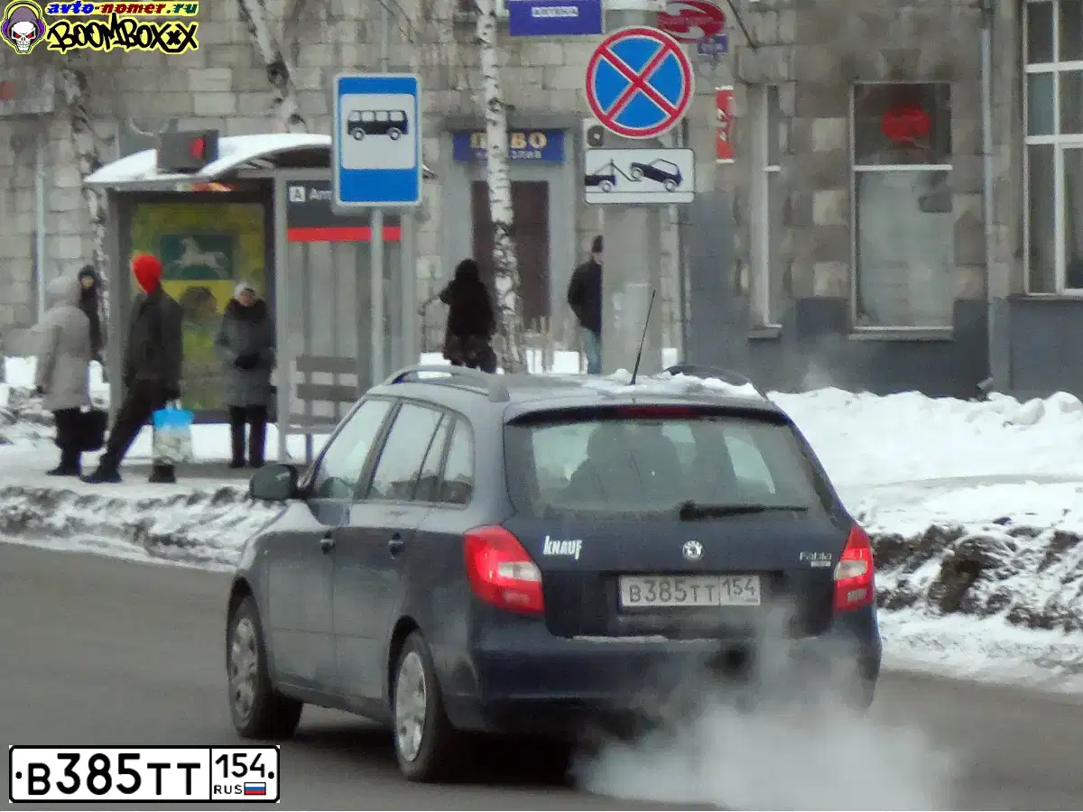 Фото автомобиля SKODA FABIA, 2010 — госномер М339СР154. Цвет: ТЕМНО СИНИЙ