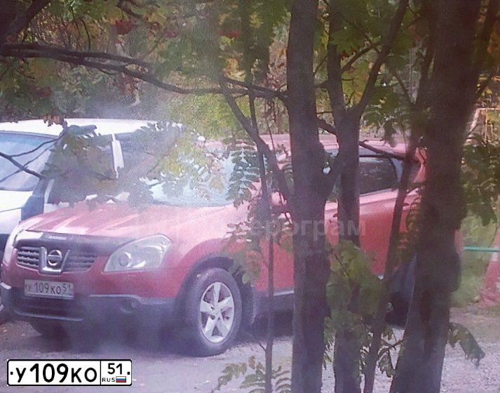 Фото автомобиля NISSAN QASHQAI, 2007 — госномер У109КО51. Цвет: ТЕМНО-КРАСНЫЙ