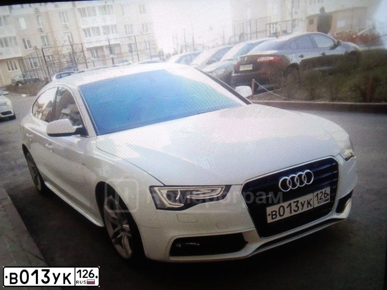 Фото автомобиля AUDI A5, 2014 — госномер Р244ХА11. Цвет: Белый