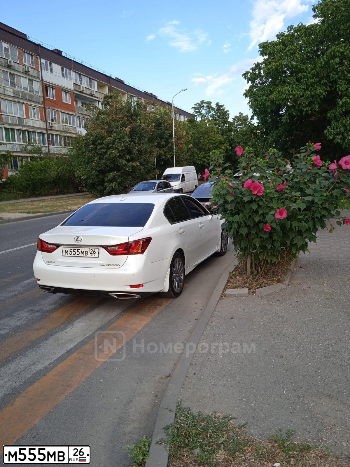 Фото автомобиля TOYOTA CAMRY, 2010 — госномер М555МВ26. Цвет: Белый