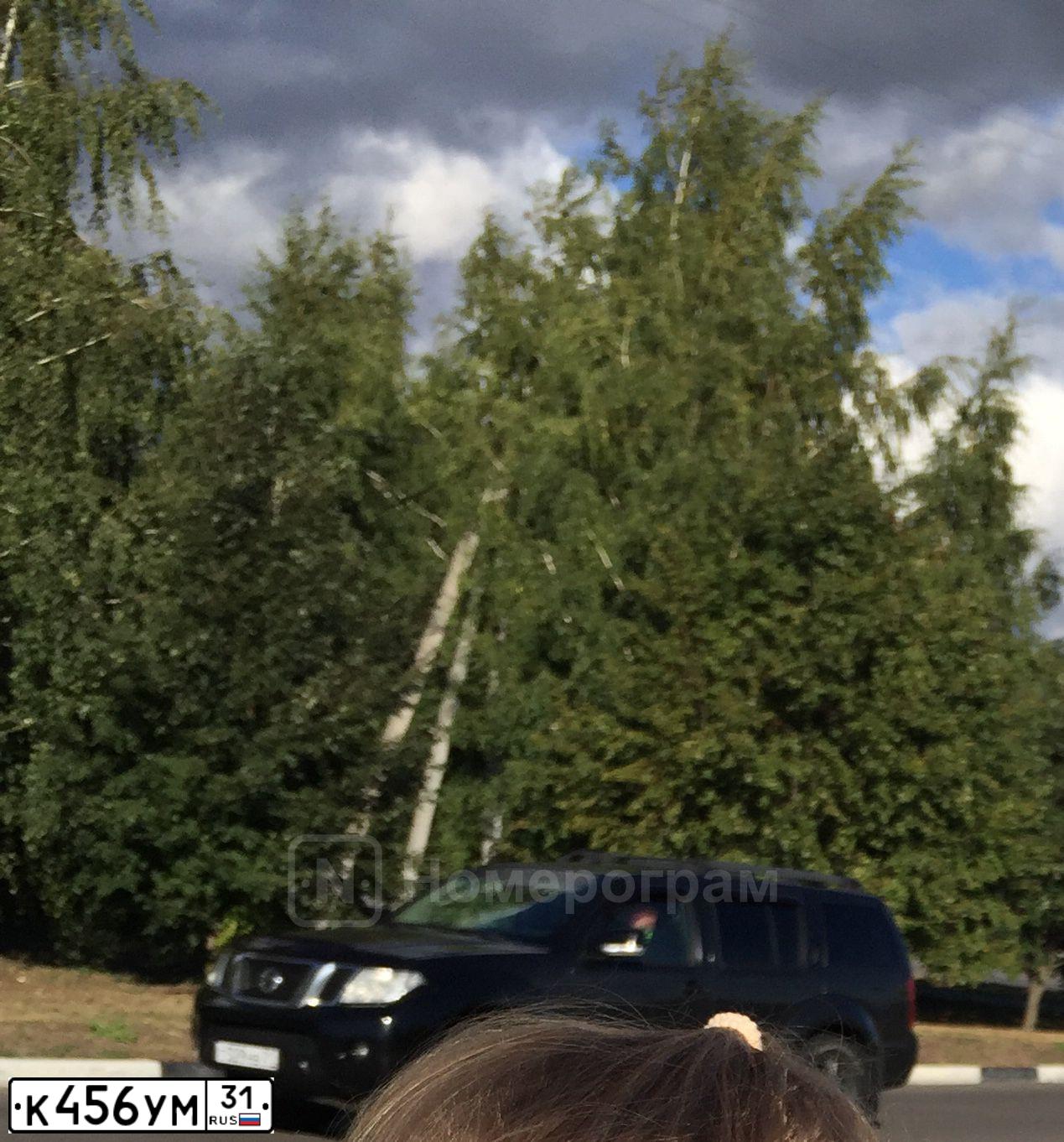 Фото автомобиля LADA 2107, 2006 — госномер К456УМ31. Цвет: синий