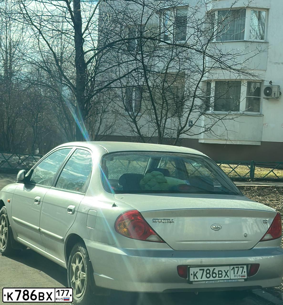 Фото автомобиля KIA SPECTRA, 2006 — госномер К786ВХ177. Цвет: СЕРЕБРИСТЫЙ МЕТАЛЛИК