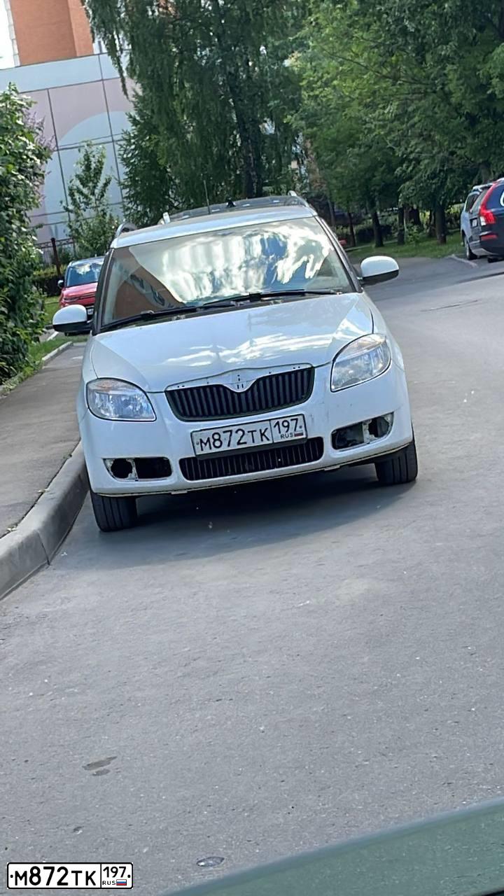 Фото автомобиля SKODA FABIA, 2009 — госномер М872ТК197. Цвет: Белый