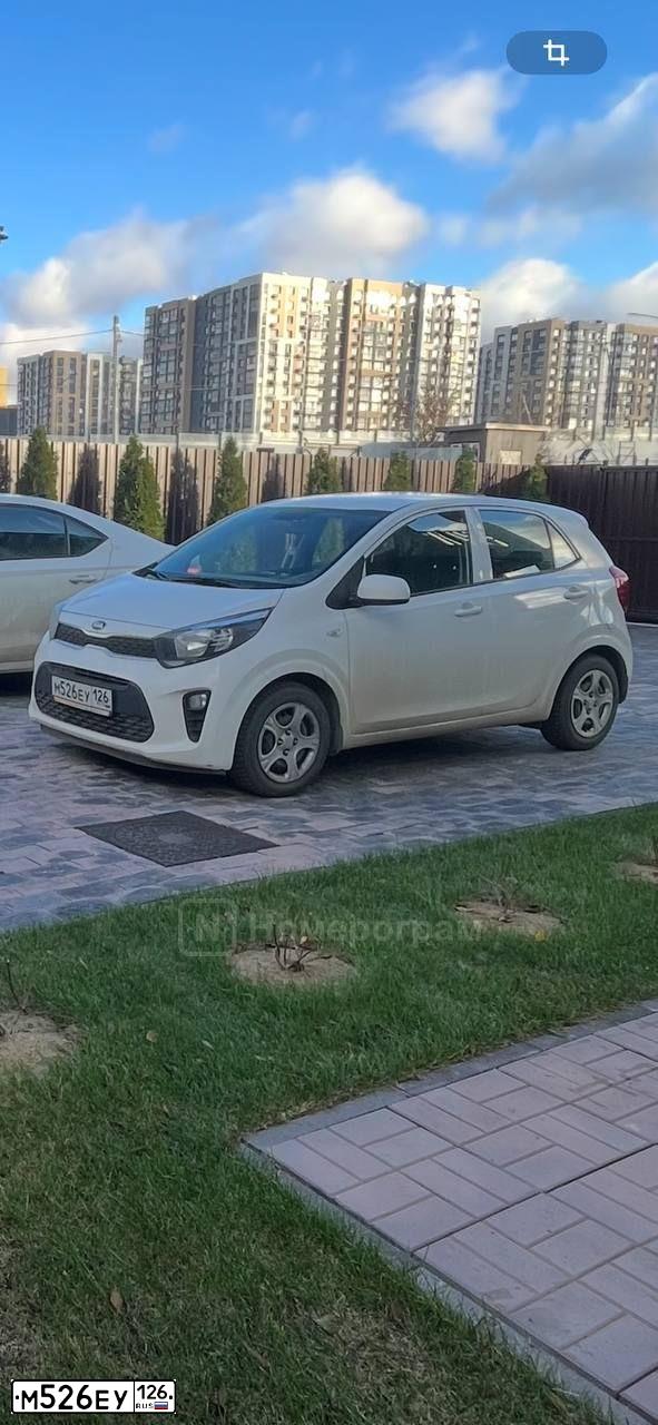 Фото автомобиля KIA PICANTO / MORNING, 2020 — госномер М526ЕУ126. Цвет: Белый
