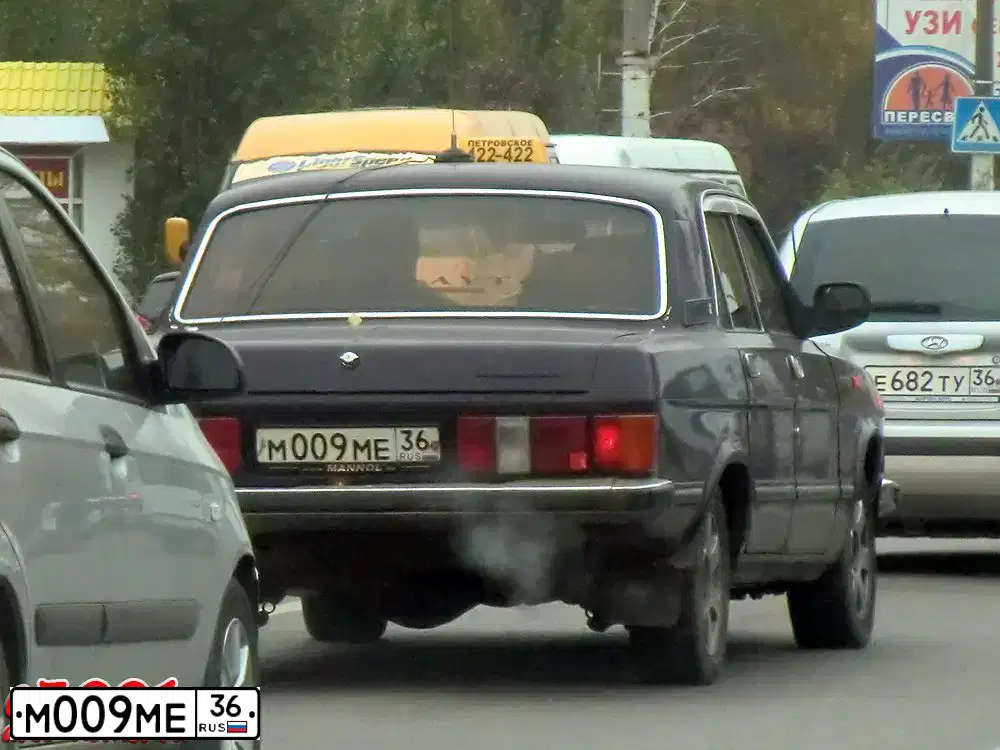 Фото автомобиля GAZ 3102 WOLGA, 1999 — госномер М009МЕ36. Цвет: ТЕМНО-ФИОЛЕТОВЫЙ