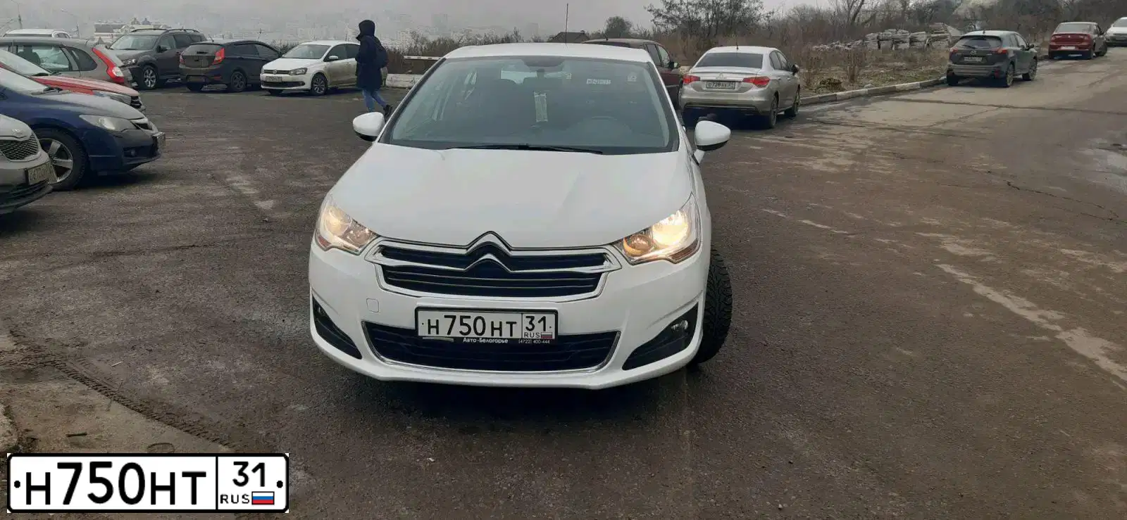 Фото автомобиля CITROEN C4, 2013 — госномер Т508СМ31. Цвет: БЕЛЫЙ