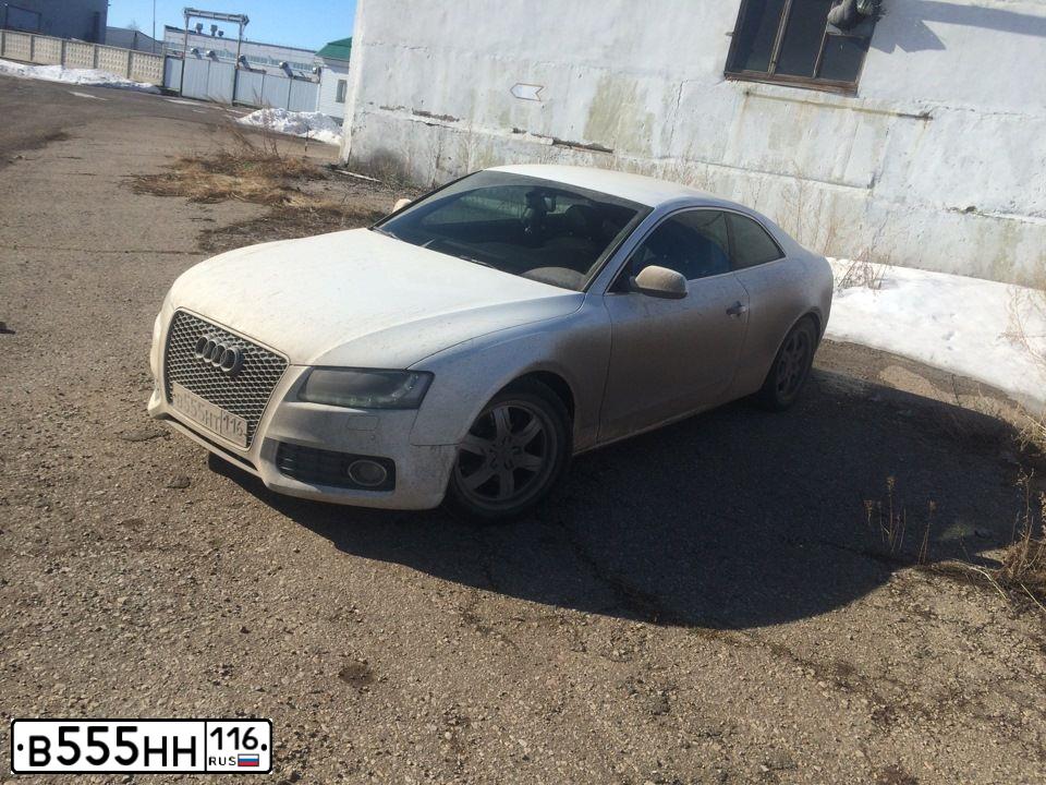 Фото автомобиля AUDI Q5, 2015 — госномер В555НН116. Цвет: ТЕМНО-СЕРЫЙ