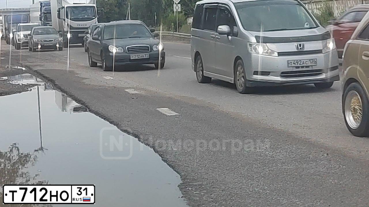 Фото автомобиля LADA 2115 SAMARA, 2004 — госномер Т712НО31. Цвет: ТЕМНО- МАЛИНОВЫЙ