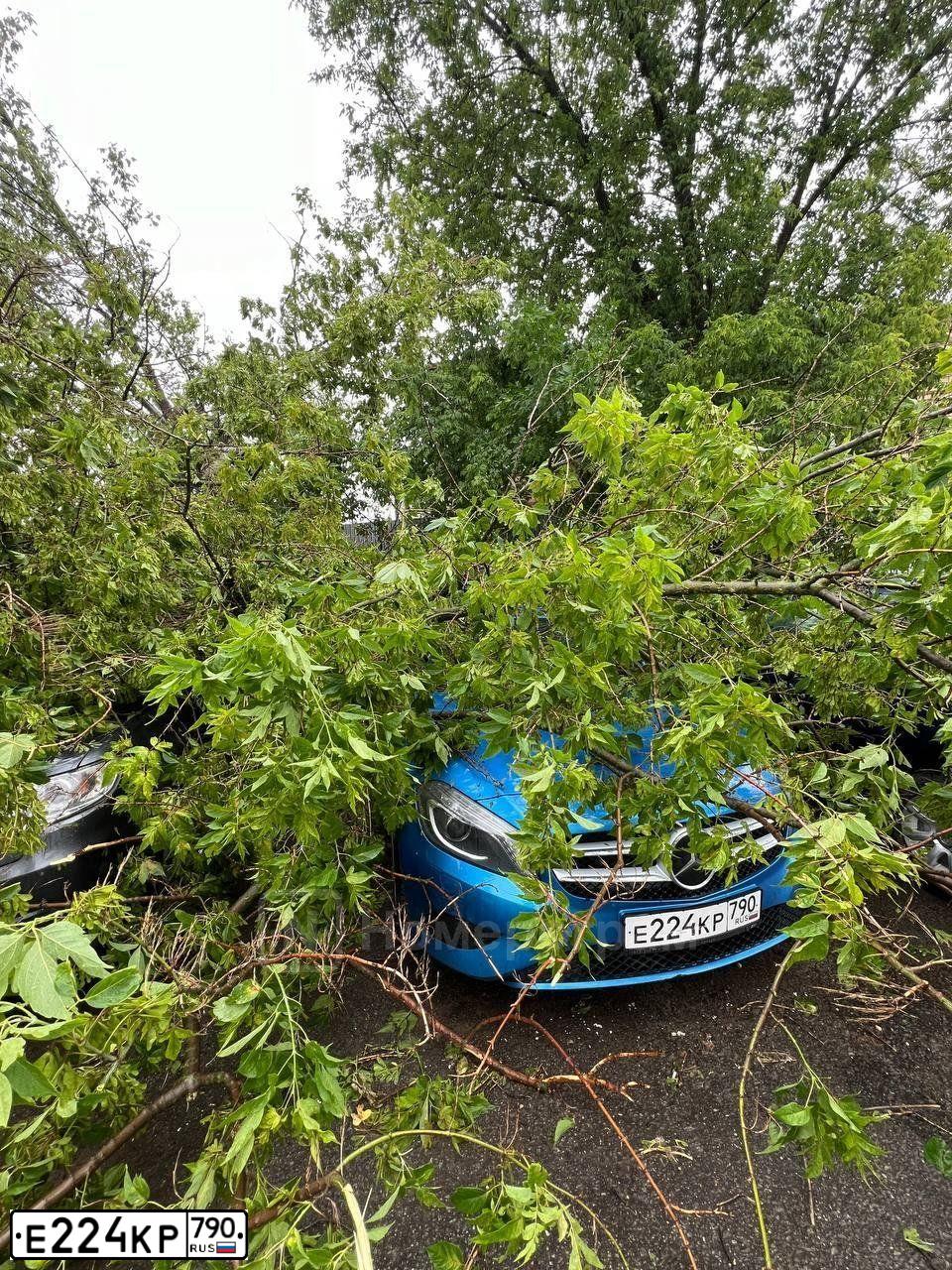 Фото автомобиля MERCEDES A-KLASSE, 2013 — госномер М222ВО161. Цвет: голубой
