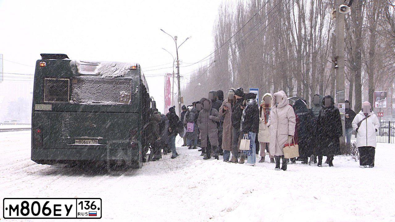 Фото автомобиля MAZ 103, 2010 — госномер М806ЕУ136. Цвет: ЗЕЛЕНЫЙ