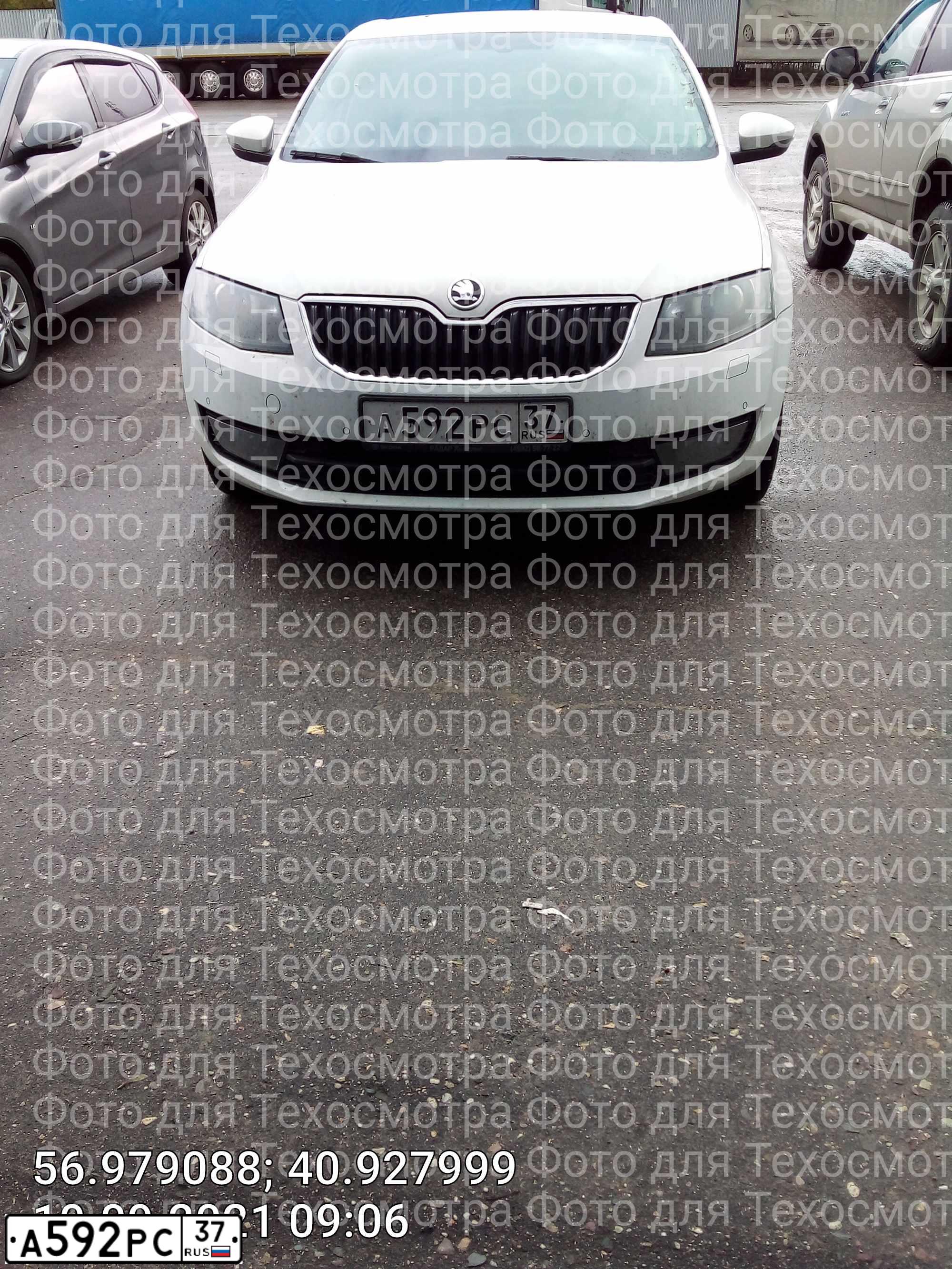 Фото автомобиля SKODA OCTAVIA, 2016 — госномер А592РС37. Цвет: БЕЛЫЙ