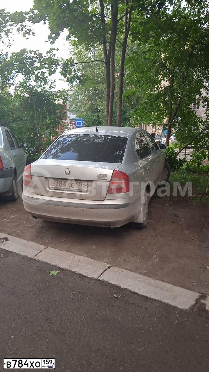 Фото автомобиля SKODA OCTAVIA, 2005 — госномер В784ХО159. Цвет: Серебристый