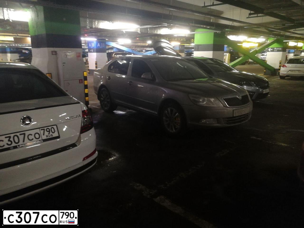 Фото автомобиля SKODA OCTAVIA, 2016 — госномер С307СО790. Цвет: Белый
