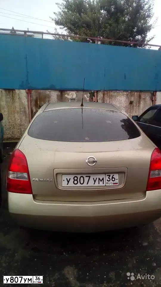 Фото автомобиля NISSAN PRIMERA, 2004 — госномер У807УМ36. Цвет: ЗОЛОТИСТЫЙ