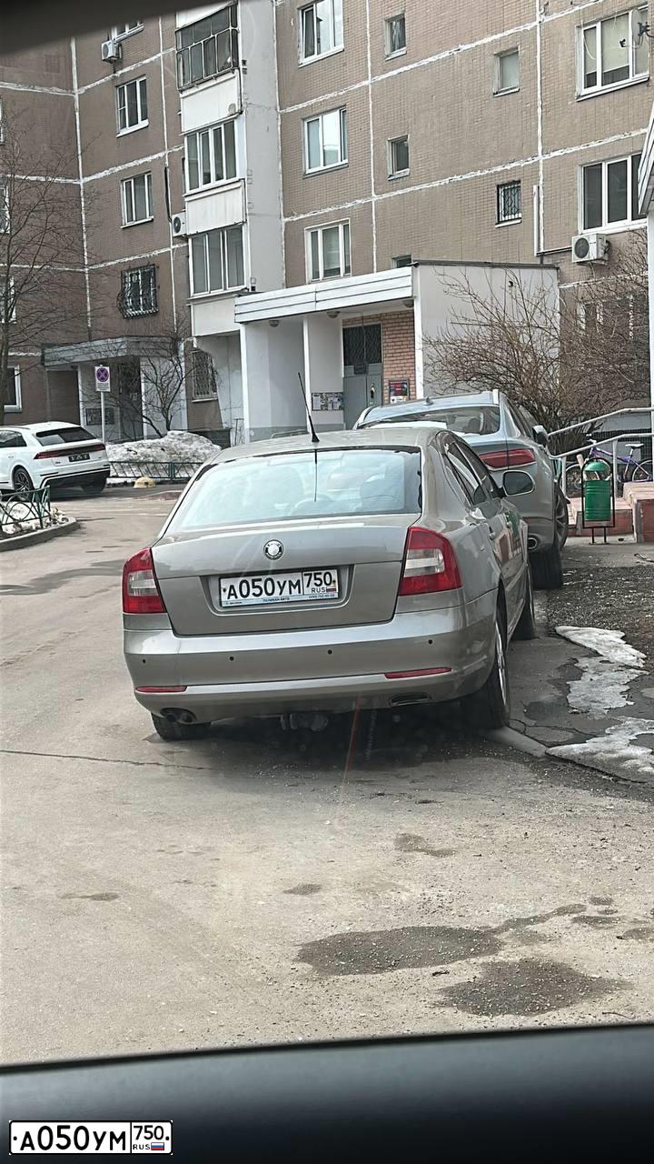 Фото автомобиля SKODA OCTAVIA, 2010 — госномер О086АА134. Цвет: СЕРЫЙ
