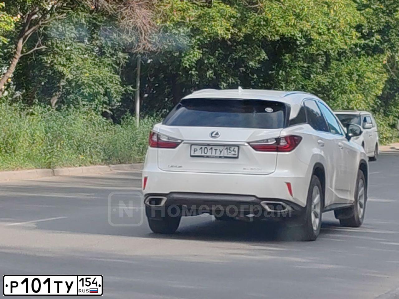 Фото автомобиля LEXUS RX, 2017 — госномер Р101ТУ154. Цвет: Белый
