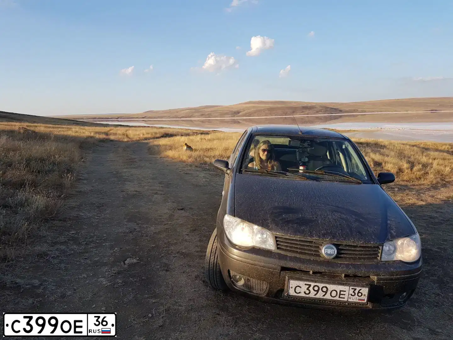 Фото автомобиля FIAT ALBEA, 2008 — госномер Р514НА46. Цвет: СЕРЫЙ