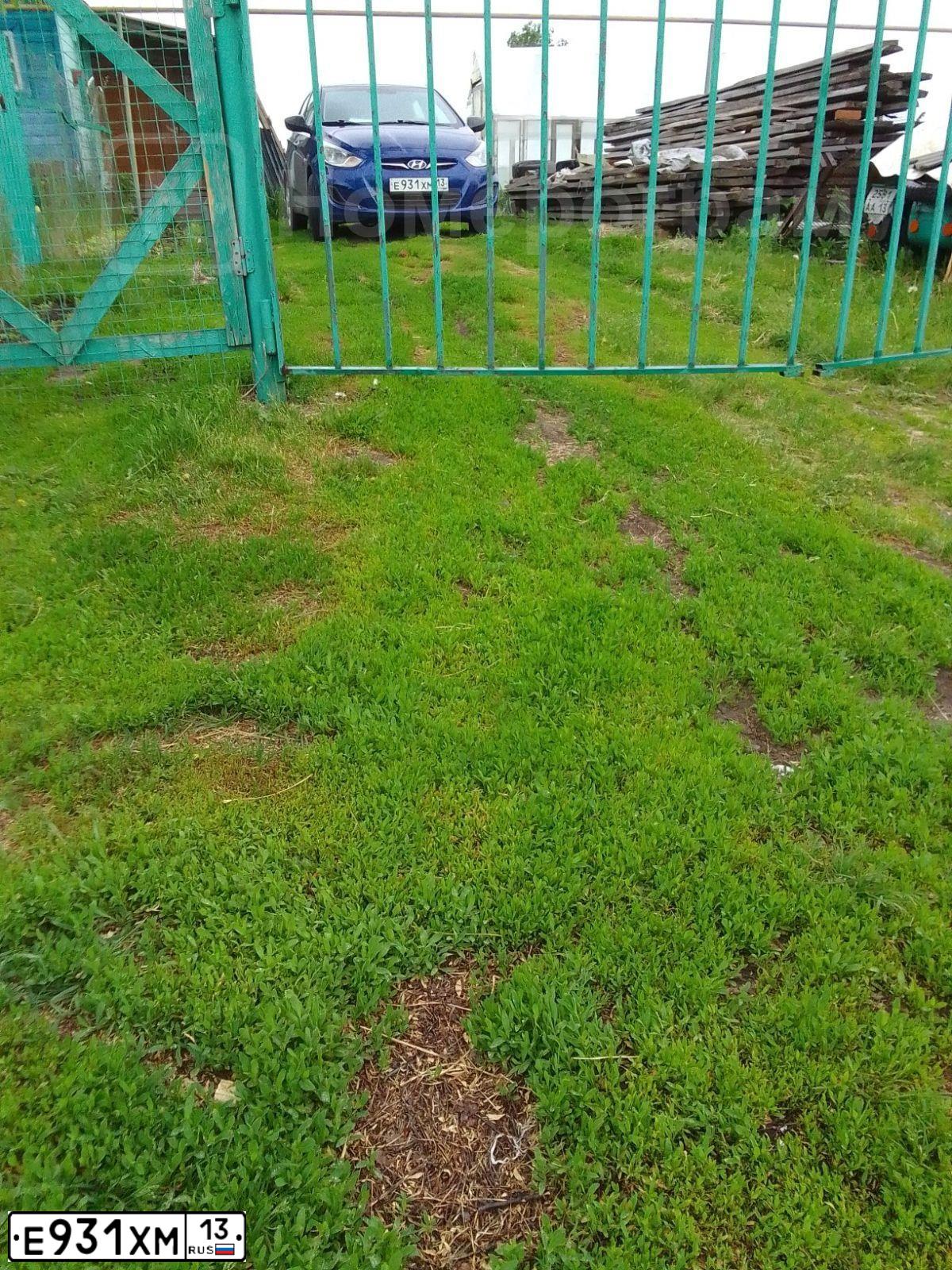 Фото автомобиля HYUNDAI SOLARIS, 2012 — госномер Е931ХМ13. Цвет: Темно-синий