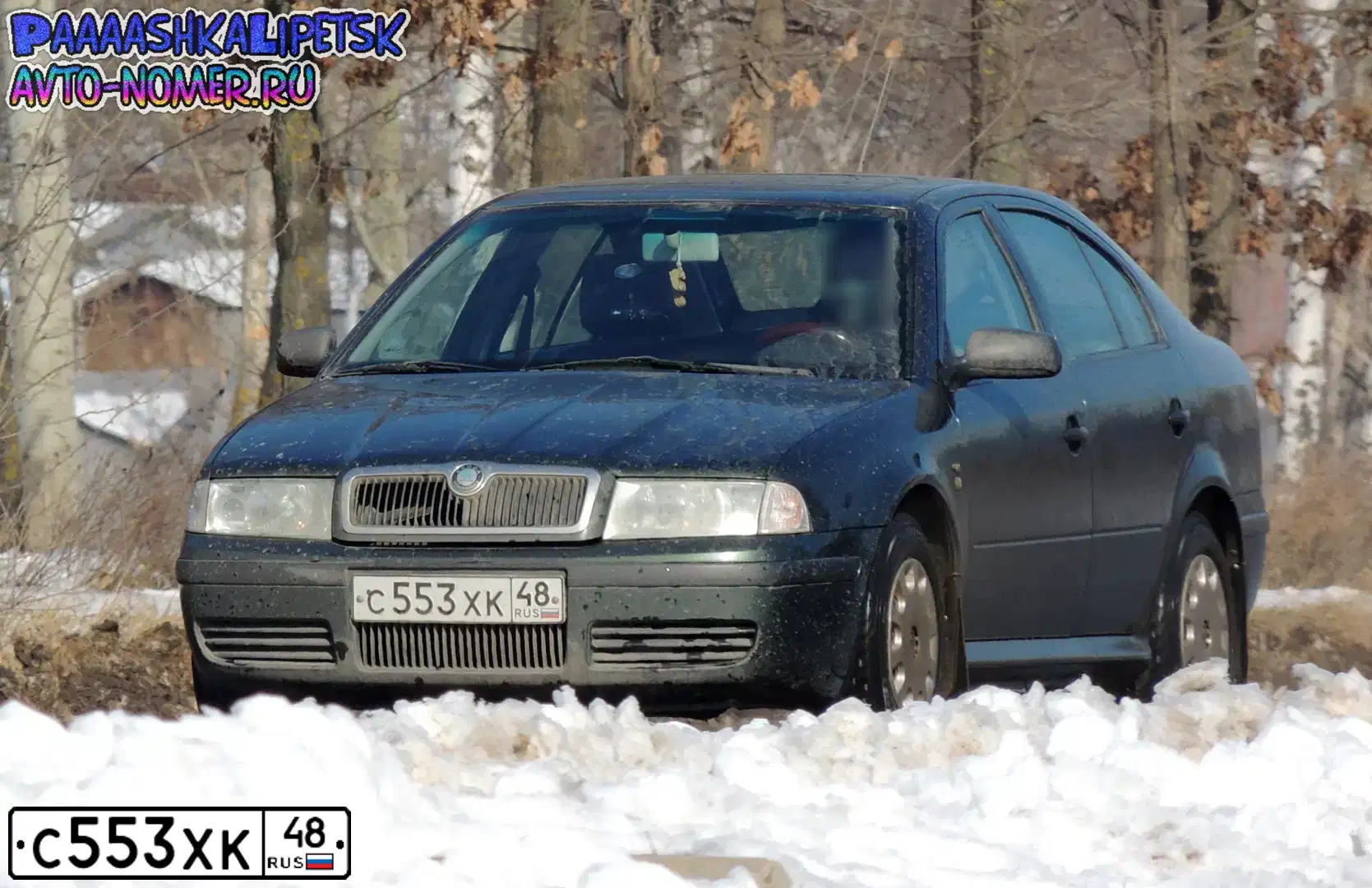 Фото автомобиля SKODA OCTAVIA, 2001 — госномер С553ХК48. Цвет: ПЕРЛАМУТР-ЗЕЛЕН