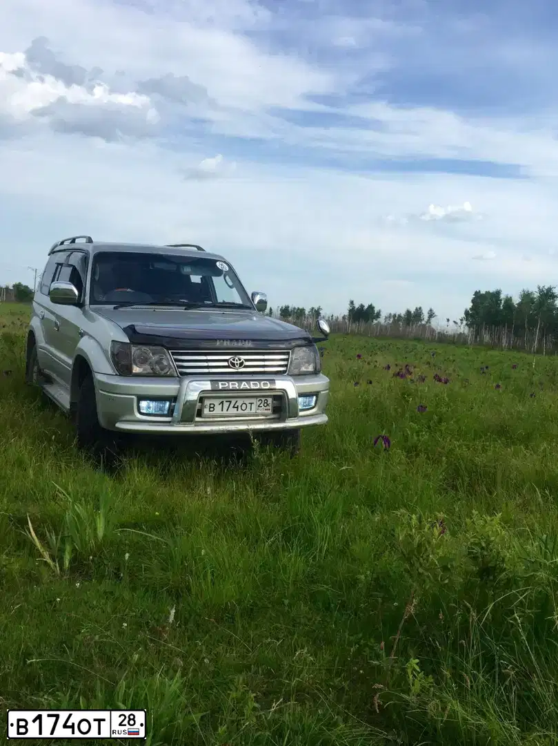 Фото автомобиля NISSAN ALMERA, 1999 — госномер Н169НО123. Цвет: Серебристый