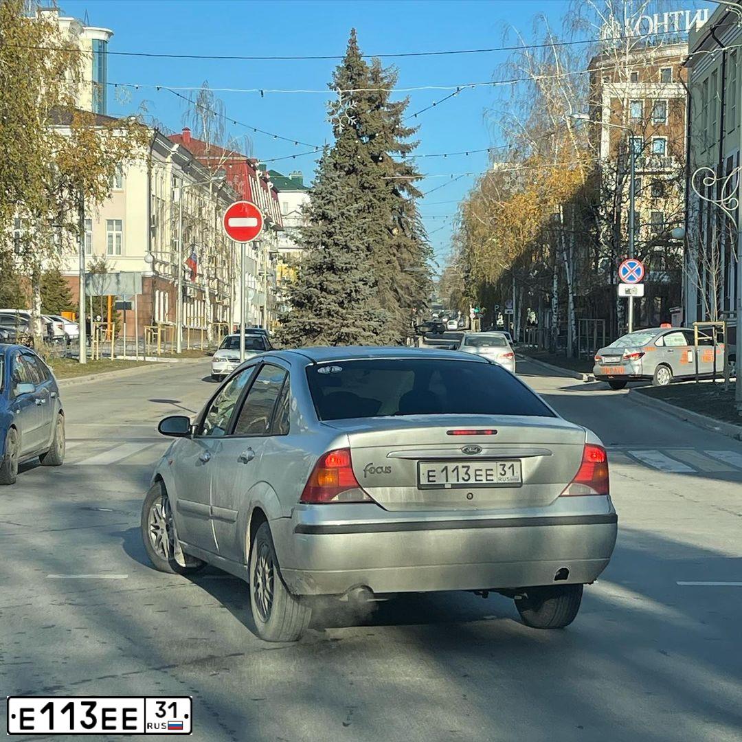 Фото автомобиля FORD FOCUS, 2002 — госномер Е113ЕЕ31. Цвет: СЕРЕБРИСТЫЙ